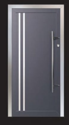 Bernex 2 door panel