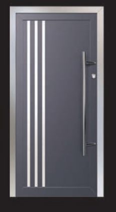 Bernex 3 door panel